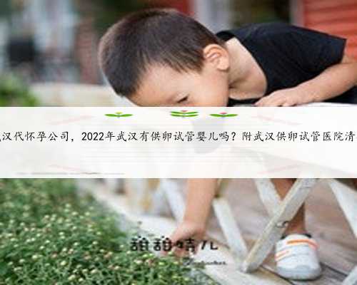 武汉代怀孕公司，2022年武汉有供卵试管婴